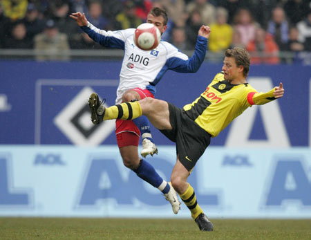 社交性与竞 社交性与竞